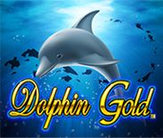 Dolphin Gold Dolphin Gold