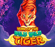 Year Of The Wild Wild Tiger Year Of The Wild Wild Tiger
